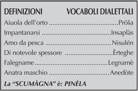 DEFINIZIONI	    VOCABOLI DIALETTALI

Aiuola dell’orto	Pröša
Impantanarsi	Insaplàs
Amo da pesca	Nisulén
Di notevole spessore 	Èrteghe 
Falegname	Legnamè
Anatra maschio	Anedòte
La “SCUMÀGNA” è: PINÈLA