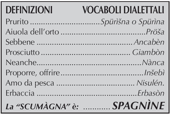 DEFINIZIONI VOCABOLI DIALETTALI
Prurito Spürìšna o Spürìna
Aiuola dell’orto Pröša
Sebbene Ancabèn
Prosciutto Giambòn
Neanche Nànca
Proporre, offrire Inšebì
Amo da pesca Nisulén.
Erbaccia Erbasòn
La “SCUMàGNA” è: SPAGNÌNE